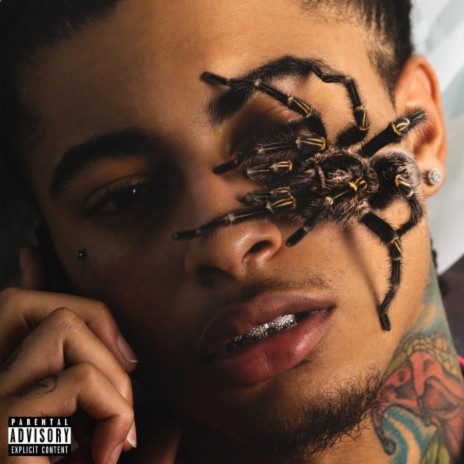 Spider ft. Rory Fresco | Boomplay Music