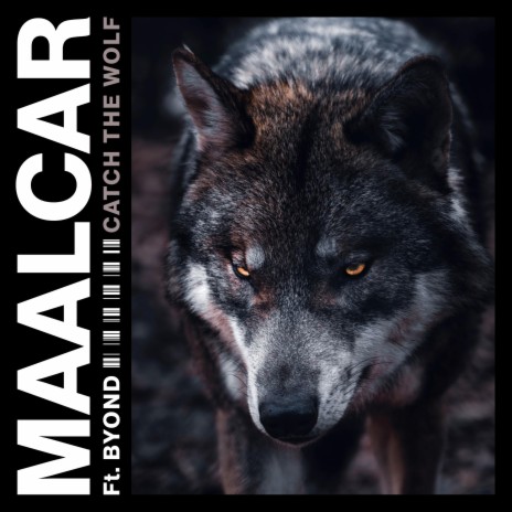 Catch The Wolf (feat. Byond) | Boomplay Music