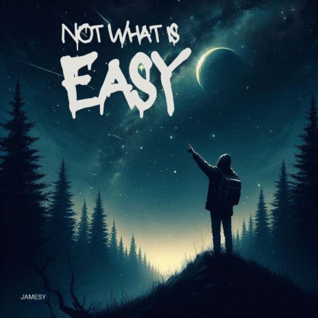 Not What Is Easy | Boomplay Music