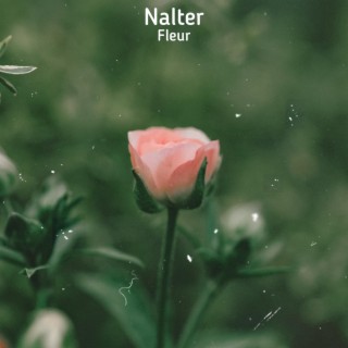 Nalter