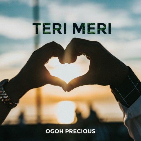 Teri Meri | Boomplay Music