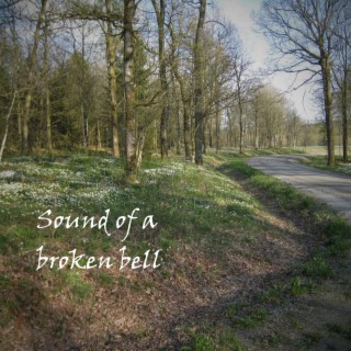 Sound of a broken bell