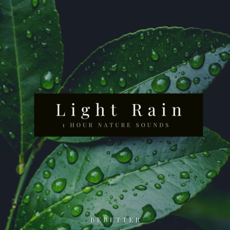 1hour Relaxing Light Rain