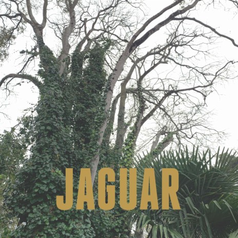 Jaguar | Boomplay Music