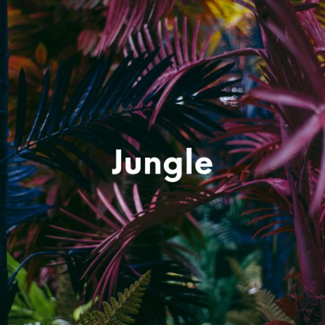 Jungle | Boomplay Music