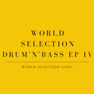 World Selection Drum'n'Bass EP IV