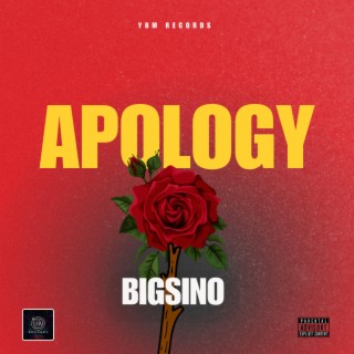 Apology lyrics | Boomplay Music