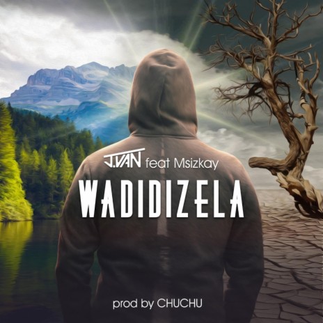 Wadidizela (feat. Msiz'kay) | Boomplay Music