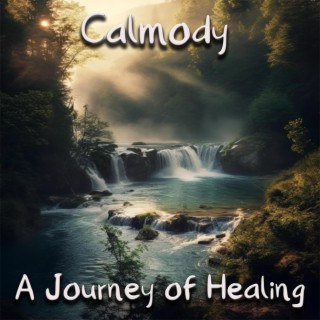 A Journey of Healing