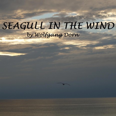 Seagull In The Wind | Boomplay Music