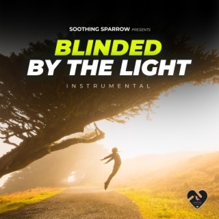 Blinded By The Light (Instrumental)
