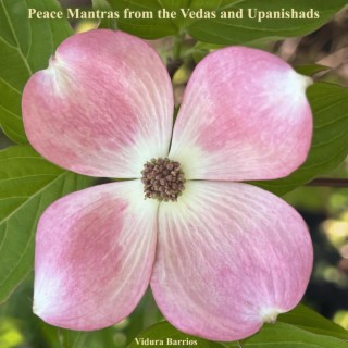 Peace Mantras from the Vedas and Upanishads