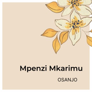 Mpenzi Mkarimu lyrics | Boomplay Music