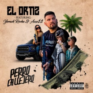 Perro Callejero (feat. Yerack Rocha & Axxess)