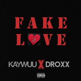 Fake Love ft. Droxx lyrics | Boomplay Music