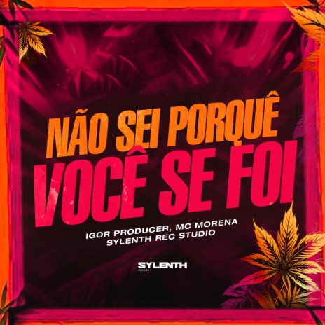 Não Sei Porquê Você Se Foi ft. Mc Morena & Sylenth Rec Studio | Boomplay Music