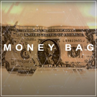 Money Bag