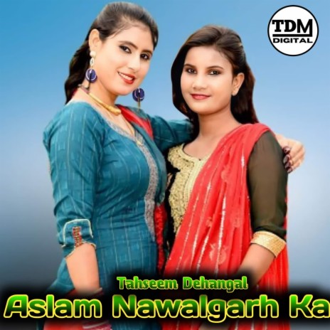 Aslam Nawalgarh Ka ft. Aslam Singer Mewati | Boomplay Music