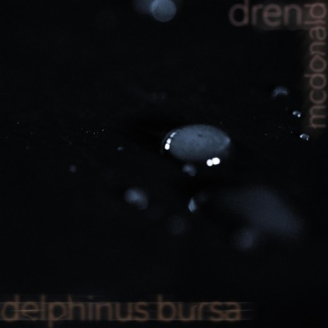 Delphinus Bursa