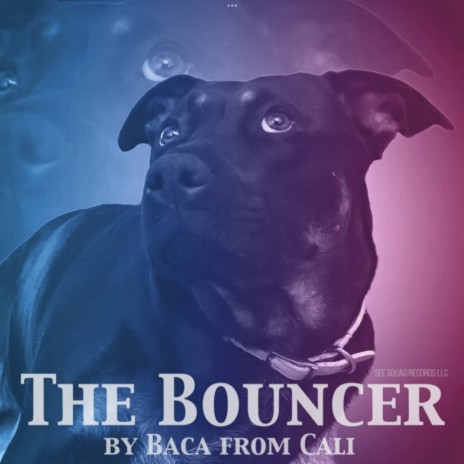 THE BOUNCER | Boomplay Music