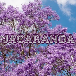 Jacaranda