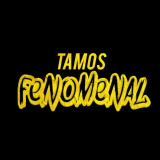 Tamos Fenomenal