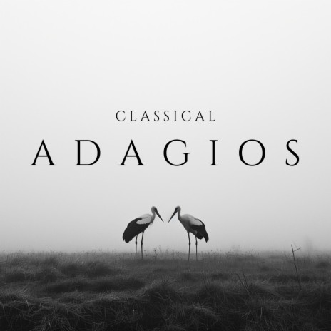 Symphony No. 44 in E Minor Funeral: III. Adagio ft. Georg Mais | Boomplay Music