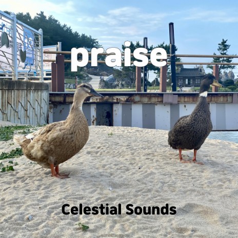 praise | Boomplay Music