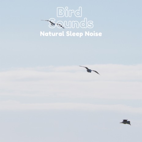 Birdie Birdie ft. Nature Recordings & Natural Sound Makers | Boomplay Music