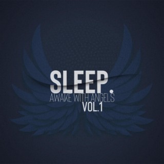 Sleep. Volume 1