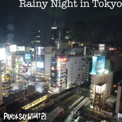 Rainy Night in Tokyo