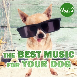 The Best Music for Your Dog Vol. 2 – Relaxing Music for Your Pet, Calm Your Anxious Dog, Nature Sounds for Relaxation, New Age Music for Puppy & Kitty, Music for Cats to Calm Down