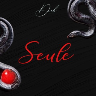 Seule lyrics | Boomplay Music