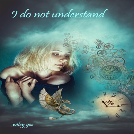 I do not understand | Boomplay Music