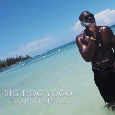 Trap Window | Boomplay Music