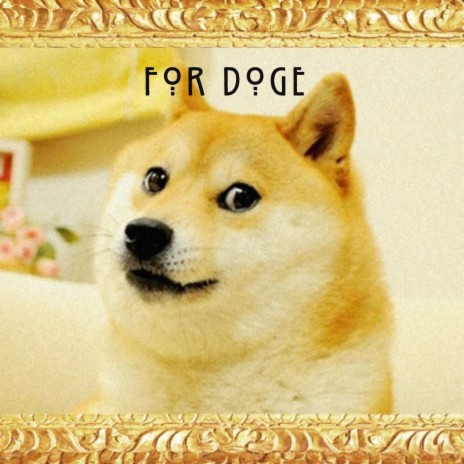 For Doge (Kabosu)