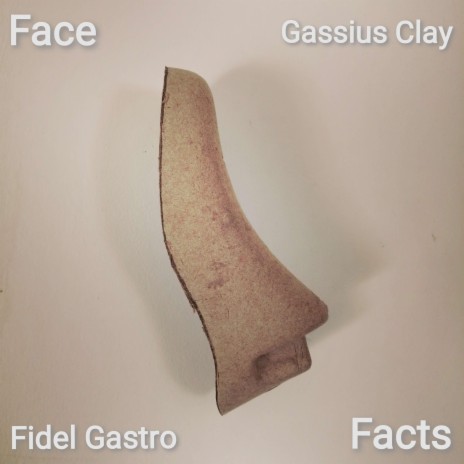 Face Facts ft. Fidel Gastro | Boomplay Music