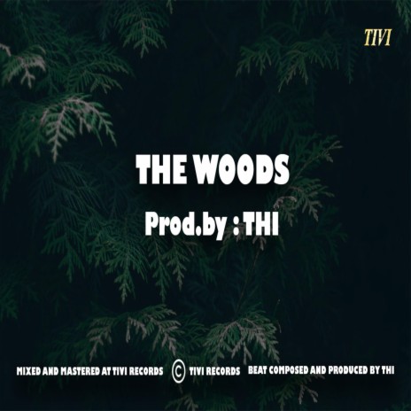 The Woods | Boomplay Music