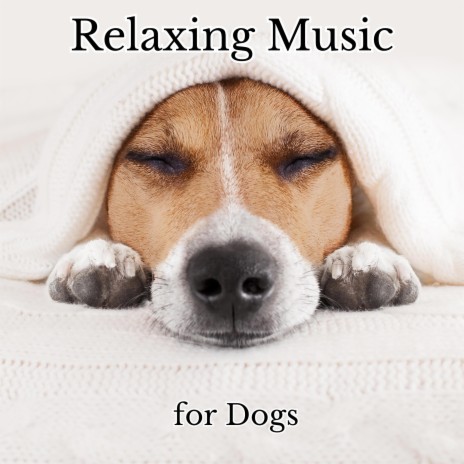 Help My Dog Sleep ft. Calming Puppy Music & Relaxmydog