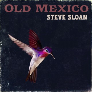 Steve Sloan