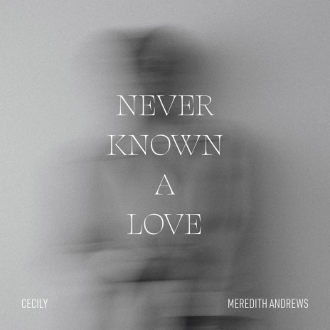 Never Known A Love ft. Meredith Andrews | Boomplay Music