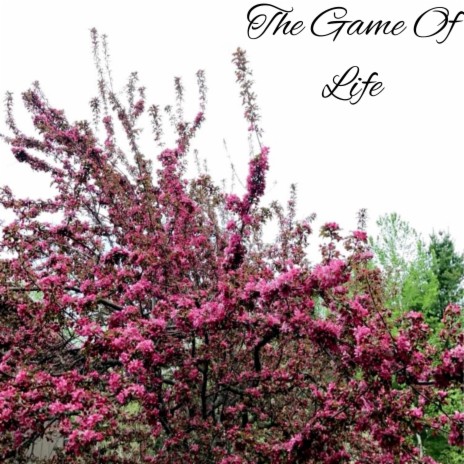 The Game Of Life | Boomplay Music