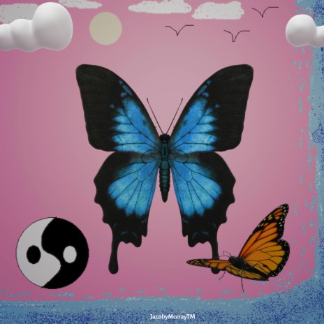 butterflies & waterfalls | Boomplay Music