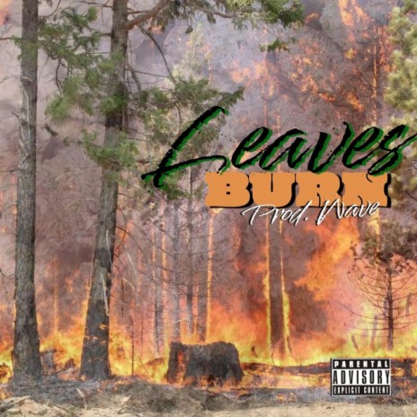 Leaves Burn | Boomplay Music