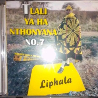 Makhetshela (tlali ha nthonyana)