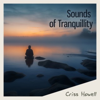 Sounds of Tranquillity: Soothing Music with Natural Sounds, Anxiety Cure for Your Mind, Inner Peace, Deep Meditation, Chakra Banalcing