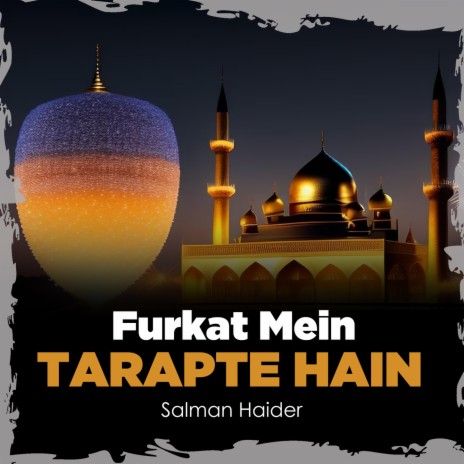 Furkat Mein Tarapte Hain | Boomplay Music