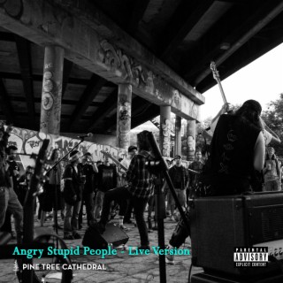 Angry Stupid People - Live Version