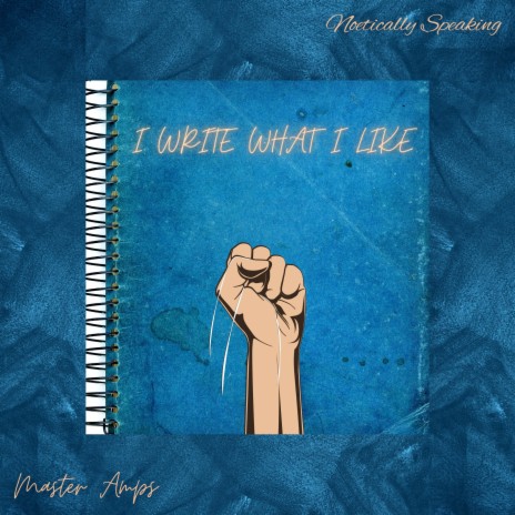 I Write What I Like ft. Noetically Speaking | Boomplay Music