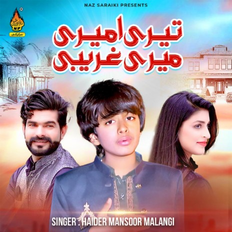 Teri Ameeri Meri Gareebi | Boomplay Music